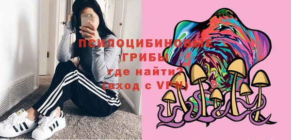 амф Алексин