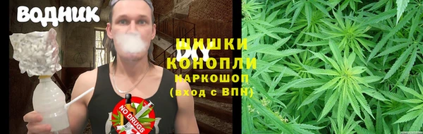 СК Алексеевка