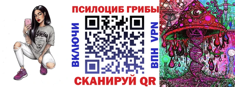 Галлюциногенные грибы мицелий  купить закладку  Ленинск 
